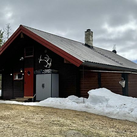 Koselig Hytte Med Usjenert Og Solrik Beliggenhet Geilo Exteriör bild