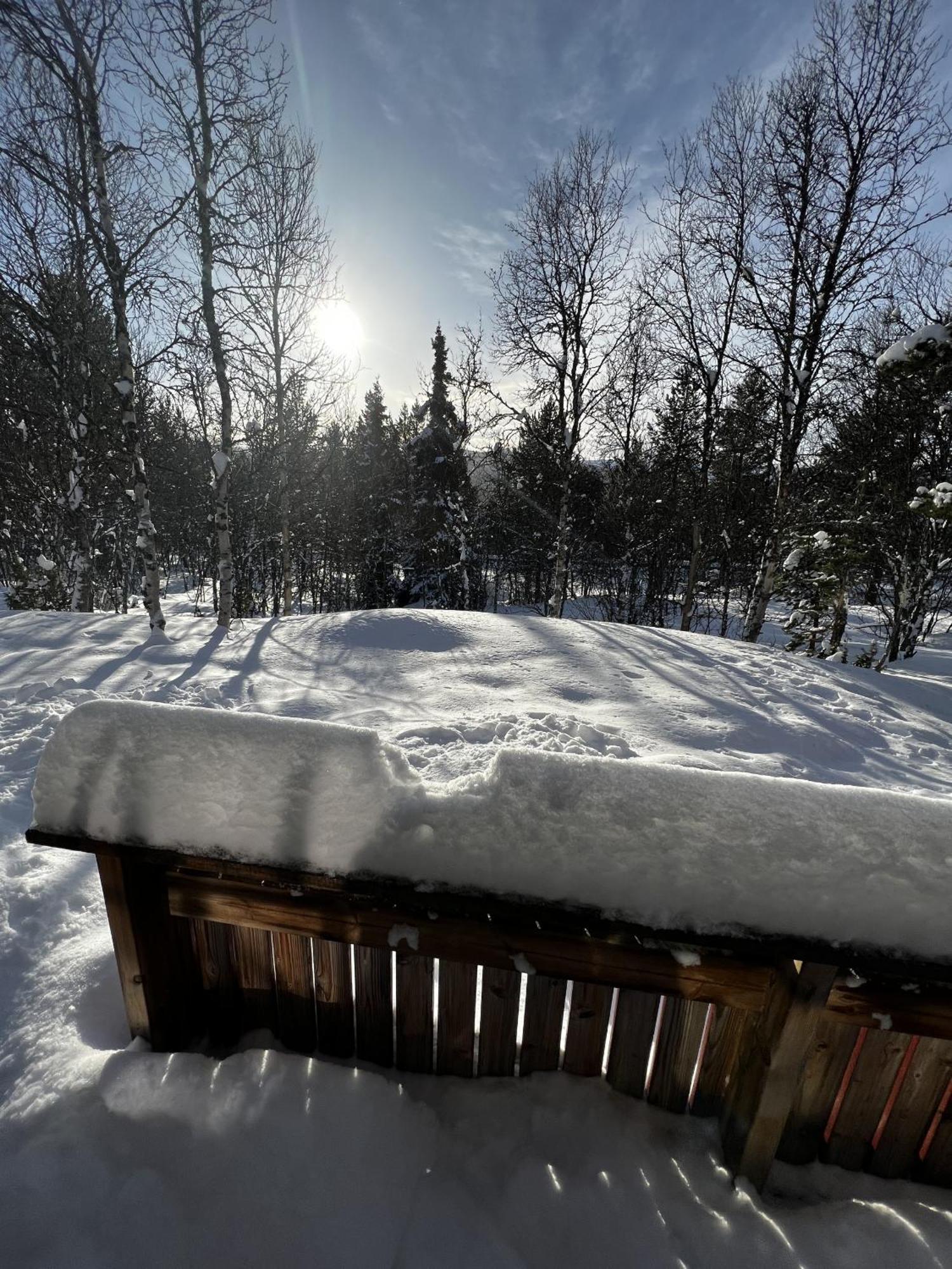 Koselig Hytte Med Usjenert Og Solrik Beliggenhet Geilo Exteriör bild