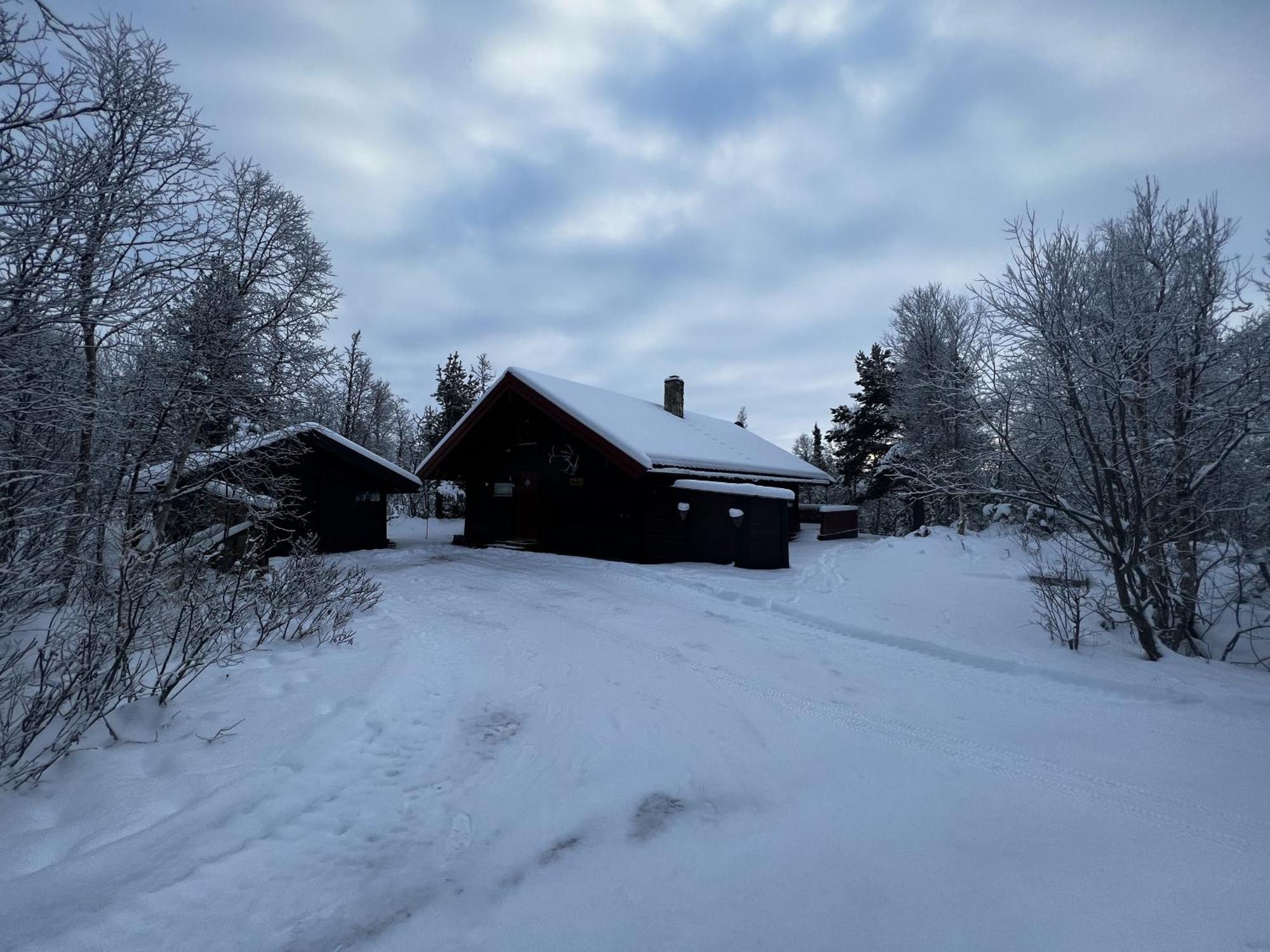 Koselig Hytte Med Usjenert Og Solrik Beliggenhet Geilo Exteriör bild