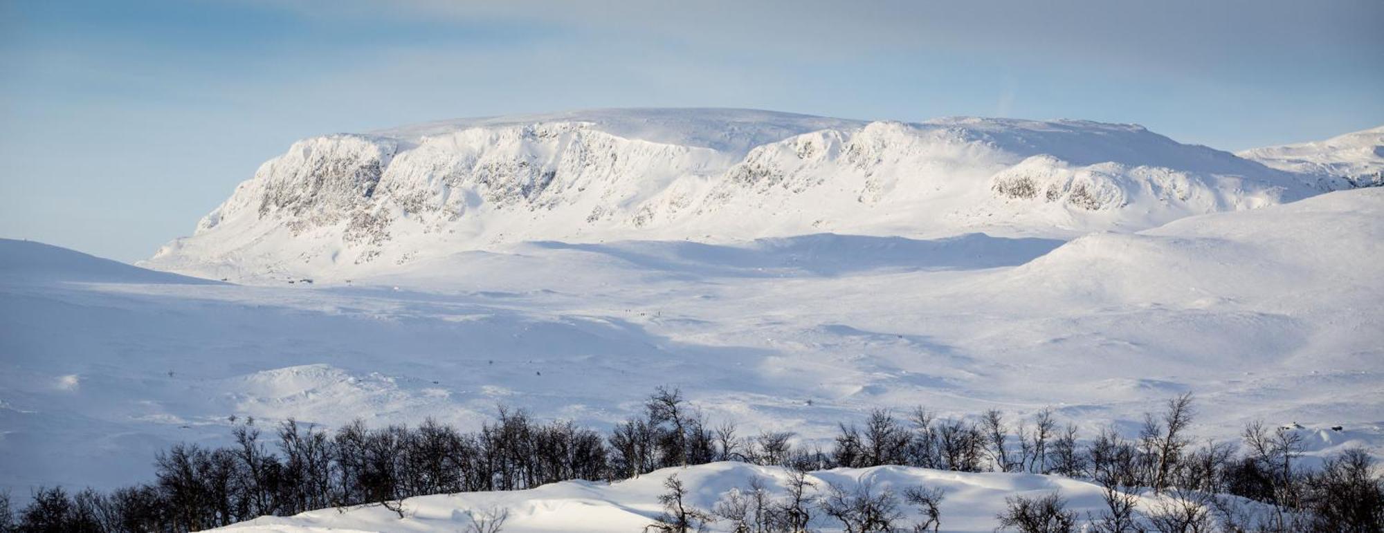 Koselig Hytte Med Usjenert Og Solrik Beliggenhet Geilo Exteriör bild