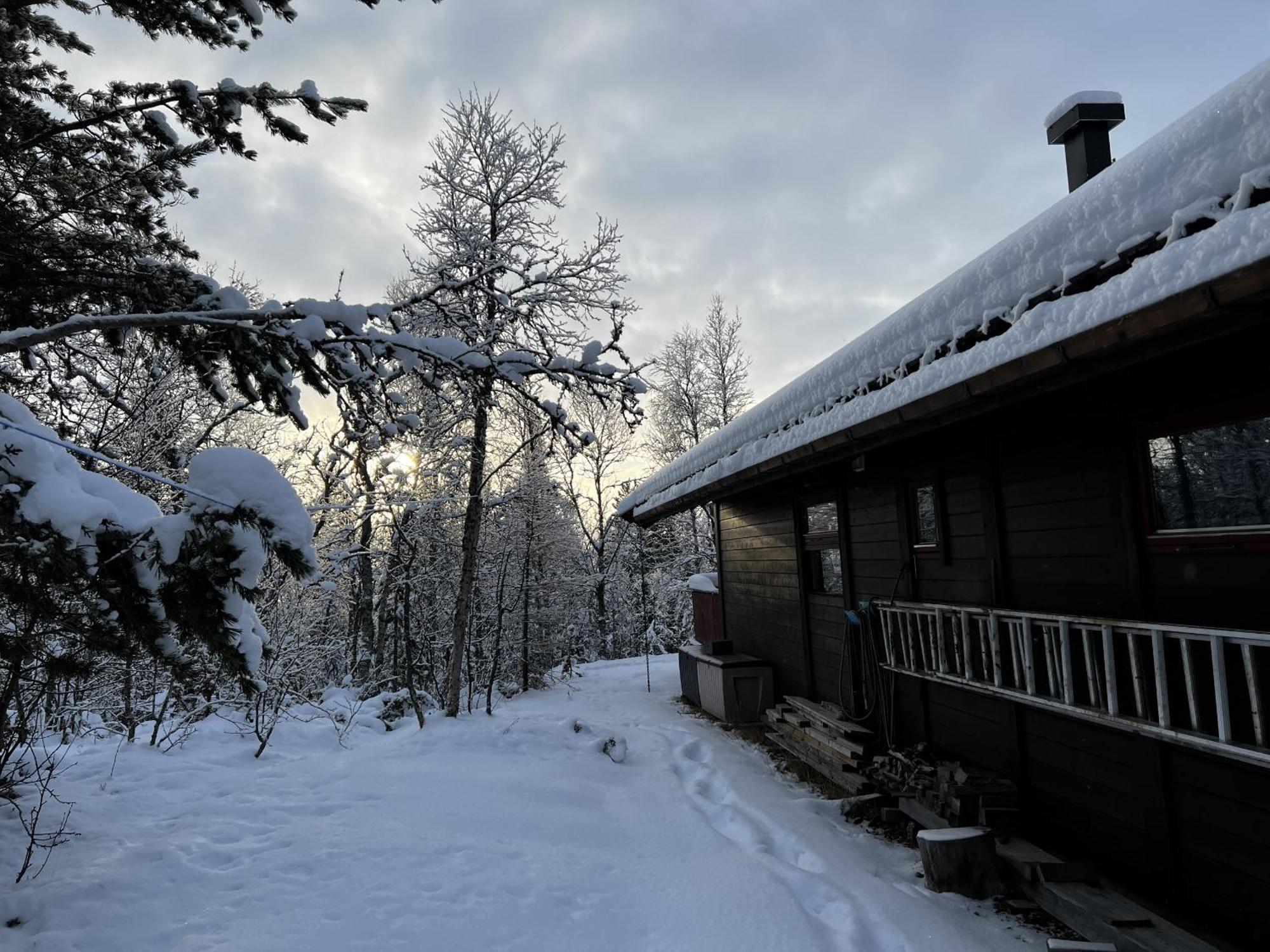 Koselig Hytte Med Usjenert Og Solrik Beliggenhet Geilo Exteriör bild