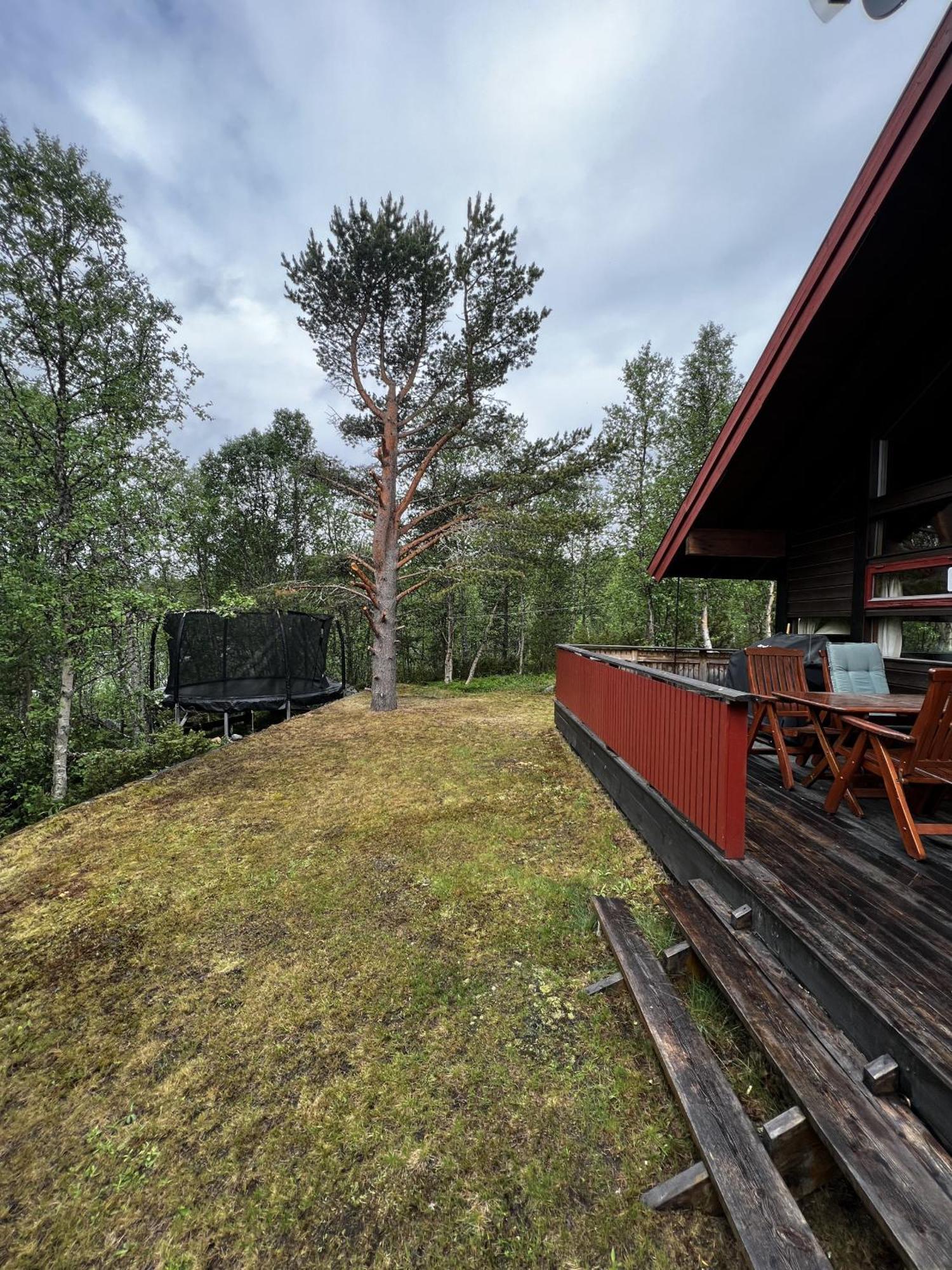 Koselig Hytte Med Usjenert Og Solrik Beliggenhet Geilo Exteriör bild